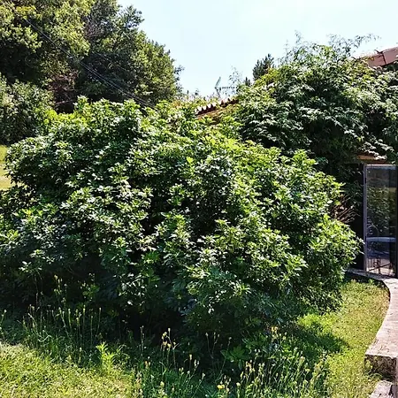 Le Prieure Vakantiehuis La Motte-de-Galaure